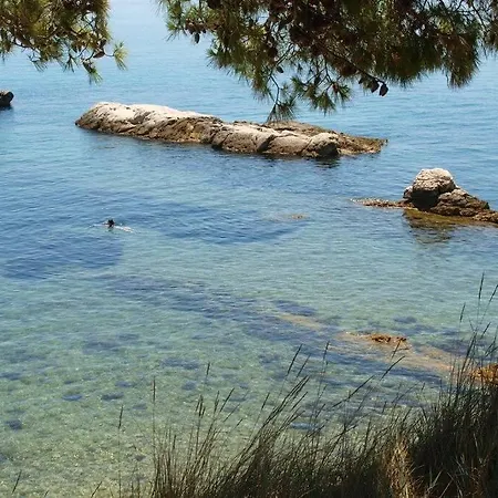 Joy4you Near And Center *